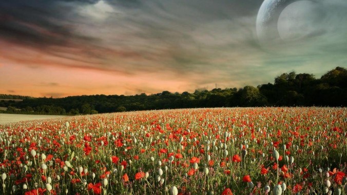 有哪些你不喜欢的游戏机制？